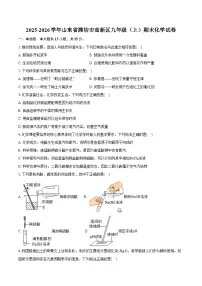 2025-2026学年山东省潍坊市高新区九年级（上）期末化学试卷（含答案）