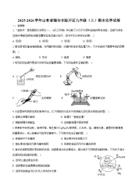 2025-2026学年山东省烟台市经开区九年级（上）期末化学试卷（含答案）