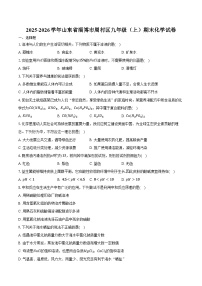 2025-2026学年山东省淄博市周村区九年级（上）期末化学试卷（含答案）