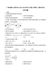 广东省湛江市雷州市2025-2026学年九年级上学期1月期末考试化学试卷（含答案）