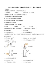 2025-2026学年重庆市潼南区九年级（上）期末化学试卷（含答案）