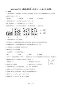 2025-2026学年安徽省蚌埠市九年级（上）期末化学试卷（含答案）