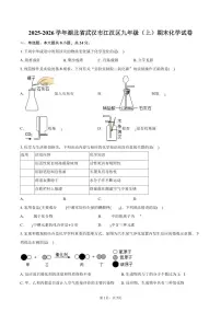 2025-2026学年湖北省武汉市江汉区九年级（上）期末化学试卷（含答案）