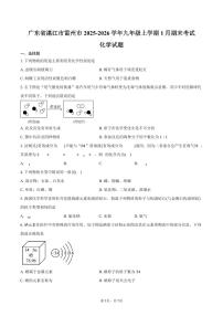 广东省湛江市雷州市2025-2026学年九年级上学期1月期末考试化学试卷（含答案）