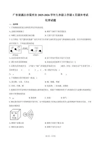 广东省湛江市雷州市2025-2026学年九年级上学期1月期末考试化学试卷（含答案）