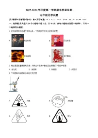河北省保定市定州市2025-2026学年九年级上学期期末考试化学试题（原卷+解析）