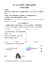 山东省泰安市东平县2025-2026学年九年级上学期期末考试化学试题（原卷+解析）