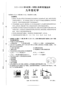 广东省江门市开平市2025-2026学年九年级上学期期末考试化学试题