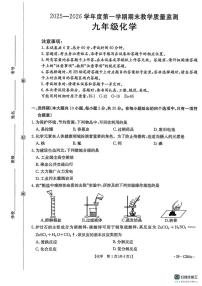 河北省保定市高碑店市2025-2026学年九年级上学期1月期末化学试题