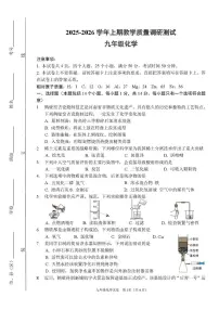 河南省鹤壁市2025-2026学年九年级上学期期末考试化学试卷