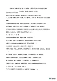 河南周口市西华县2025-2026学年九年级上学期期末考试化学试卷