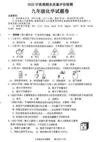 河南省南阳市2025-2026学年九年级上学期期末化学试卷及答案