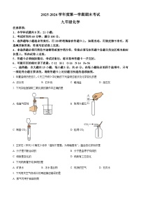 广东省茂名市信宜市2025-2026学年九年级上学期1月期末考试化学试题（试卷+解析）
