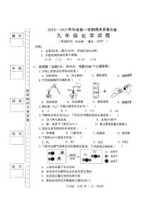 2024-2025学年第一学期期末考试-九年级化学试题