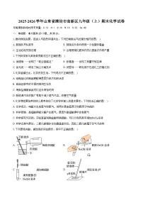2025-2026学年山东省潍坊市高新区九年级（上）期末化学试卷（含答案+解析）