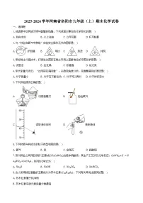 2025-2026学年河南省洛阳市九年级（上）期末化学试卷（含答案）