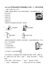 2025-2026学年湖北省武汉市东湖高新区九年级（上）期末化学试卷（含答案）