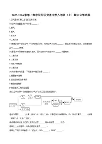 2025-2026学年上海市闵行区龙茗中学八年级（上）期末化学试卷（含答案）