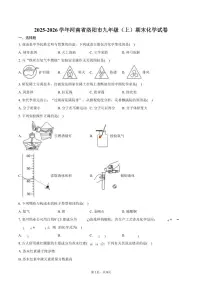 2025-2026学年河南省洛阳市九年级（上）期末化学试卷（含答案）