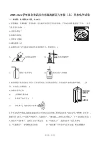 2025-2026学年湖北省武汉市东湖高新区九年级（上）期末化学试卷（含答案）
