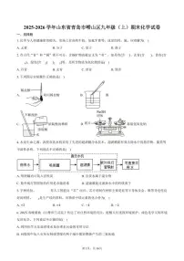 2025-2026学年山东省青岛市崂山区九年级（上）期末化学试卷（含答案）
