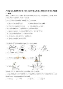 广东省汕头市潮阳区多校联考2025-2026学年九年级上学期12月月考化学试卷（含答案）