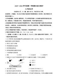 广东省河源市紫金县2025-2026学年九年级上学期化学期末测试题（试卷+解析）
