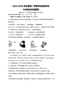 安徽省淮北市2025-2026学年九年级上学期期末自测评价化学试卷含答案