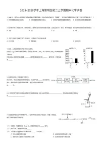 2025~2026学年上海崇明区初二上学期期末化学试卷（有答案解析）