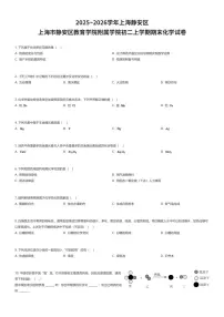 2025~2026学年上海静安区上海市静安区教育学院附属学院初二上学期期末化学试卷（有答案解析）