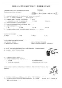 2025~2026学年上海闵行区初二上学期期末化学试卷（有答案解析）