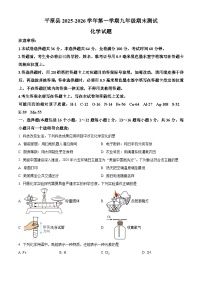 山东省德州市平原县2025-2026学年九年级上学期期末化学试题（试卷+解析）
