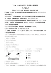 广东省河源市紫金县2025-2026学年九年级上学期化学期末测试题（试卷+解析）