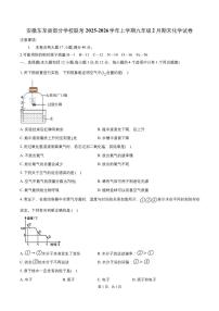 安徽省池州市东至县部分学校2025-2026学年九年级上学期2月期末联考化学试题含答案