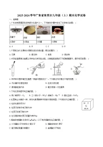 2025-2026学年广东省东莞市九年级（上）期末化学试卷（含答案）