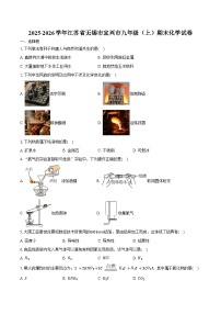 2025-2026学年江苏省无锡市宜兴市九年级（上）期末化学试卷（含答案）