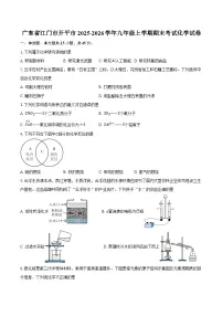 广东省江门市开平市2025-2026学年九年级上学期期末考试化学试卷（含答案）