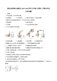 湖北省孝感市高新区2025-2026学年九年级上学期1月期末考试化学试卷（含答案）