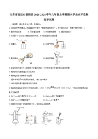 江苏省宿迁市泗阳县2025-2026学年九年级上学期期末学业水平监测化学试卷（含答案）