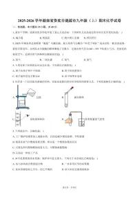 2025-2026学年湖南省娄底市涟源市九年级（上）期末化学试卷（含答案）