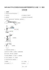2025-2026学年江苏省徐州市沛县实验学校联盟学区九年级（上）期末化学试卷（含答案）