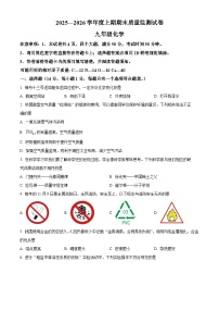 河南省驻马店市确山县2025-2026学年九年级上学期2月期末考试化学试题（试卷+解析）