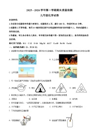 河南省洛阳市2025-2026学年九年级上学期期末考试化学试题（试卷+解析）