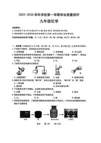 河南省濮阳市2025-2026学年九年级上学期期末化学试卷含答案