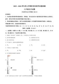山东省临沂市莒南县2025-2026学年九年级上学期1月期末化学试题（试卷+解析）