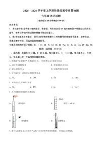 山东省临沂市莒南县2025-2026学年九年级上学期1月期末化学试题（试卷+解析）