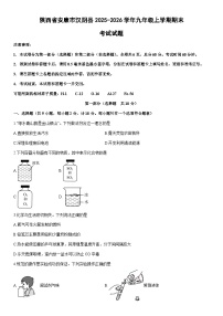2025-2026学年陕西省安康市汉阴县九年级上学期期末考试化学试卷（学生版）