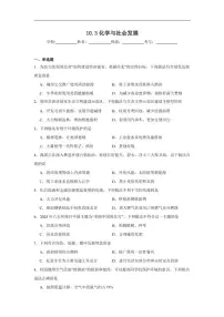 仁爱科普版（2024）九年级下册（2024）课题3 化学与社会发展当堂达标检测题