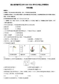2025-2026学年湖北省孝感市汉川市九年级上学期期末考试化学试卷（学生版）