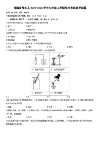 2025-2026学年海南省陵水县九年级上学期期末考试化学试卷（学生版）